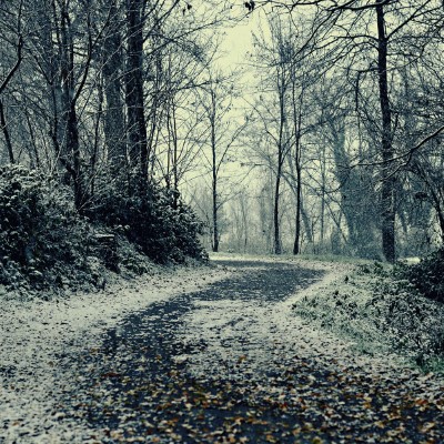 1920 x 1080 HD Wallpapers 2076